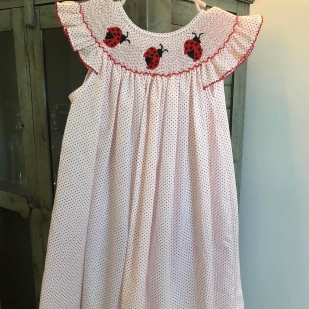 Ladybug Smocked Bishop dress sz 4T